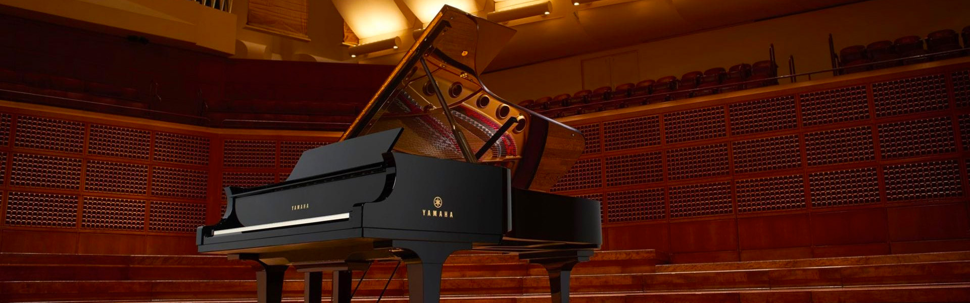 The Steinway Piano and all its Grandeur